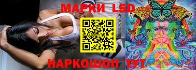 гашик Новозыбков