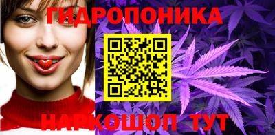 гашик Новозыбков