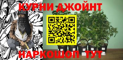 герыч Новодвинск