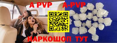 гашик Новозыбков
